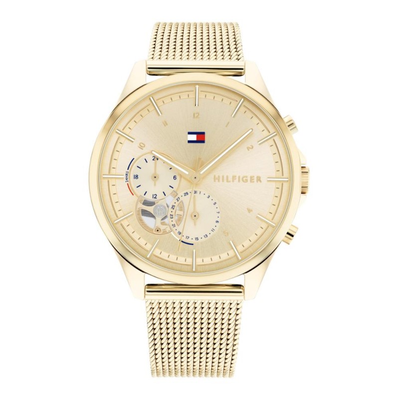 Tommy Hilfiger Quinn Ladies Watch Multifunctional ...